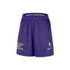 Баскетбольные шорты Los Angeles Lakers Мужские Полностью фиолетовые DX9700-504