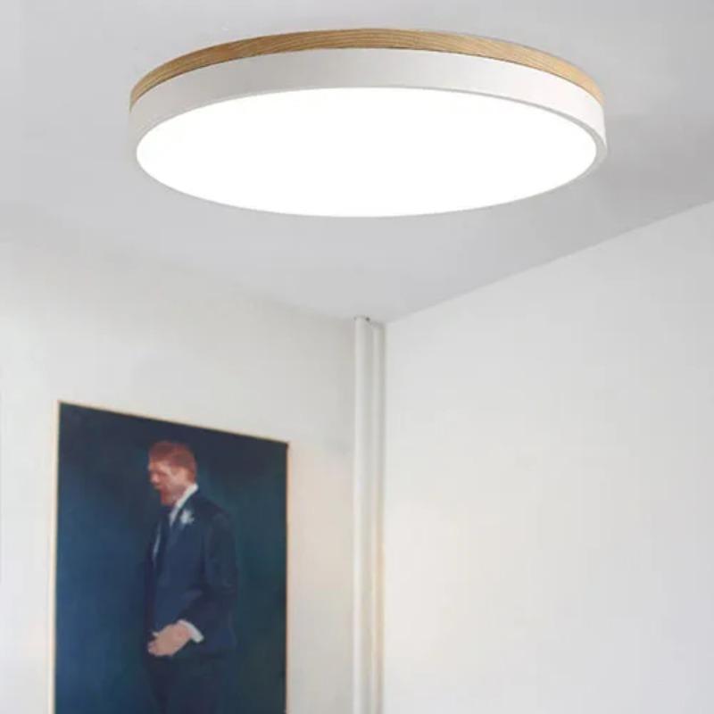 Indoor LED Ceiling Lamp Living Room Bedroom Corridor Lighting Cold Warm White Natural Light LED Fixtures Lamps
