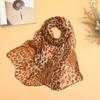 Thin Chiffon Scarf Soft Shawl Silk New Wrap Hijab