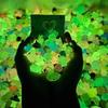 10/20/30/60PCS Glow In The Dark Mini Resin Animals Blind Bags Fairy Garden Decor Micro Landscape Surprise Blind Box Gifts Random