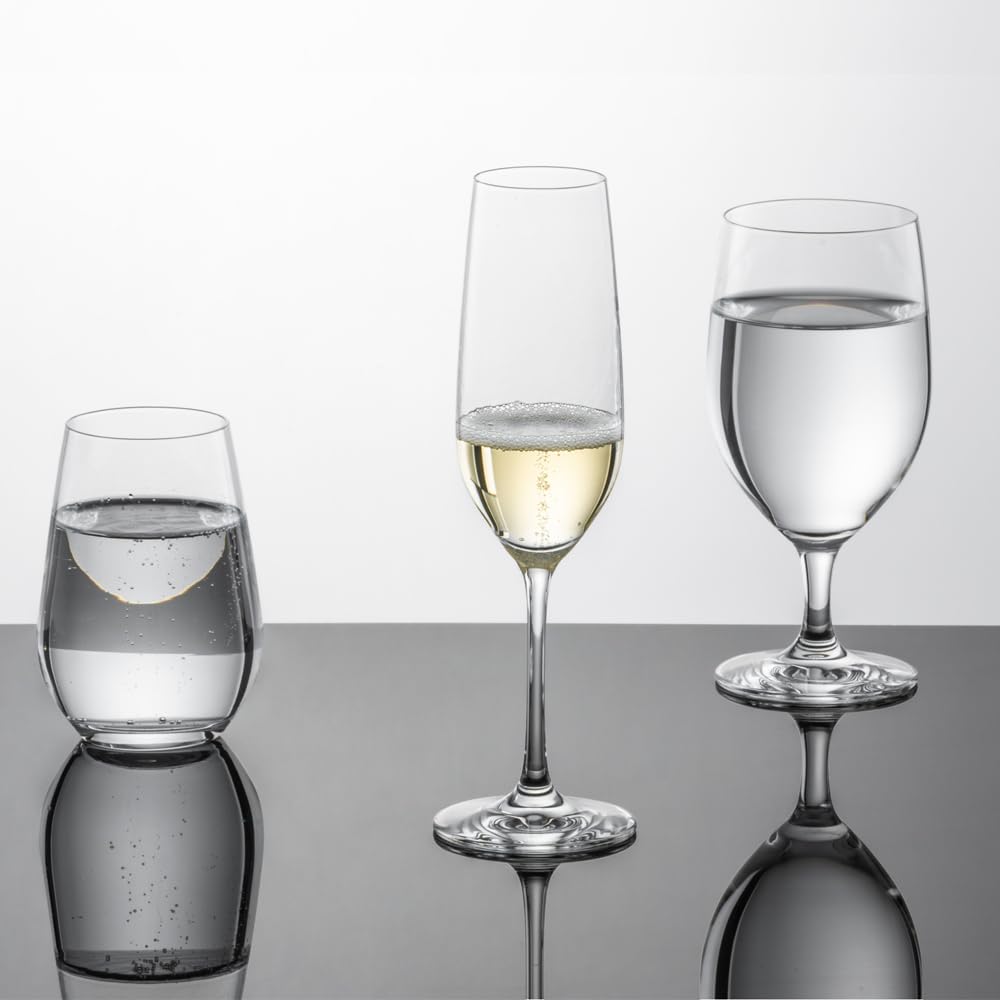 Imported SCHOTT ZWIESEL ZWIESEL Pair Tumbler Vigna 397ml Clear Set of 2 Dishwasher Safe P117875 [Regular Product]