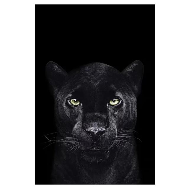 Африканский дикий тигр картины на холсте постеры и принты настенное искусство декоративные картины для гостиной домашний декор куадрос