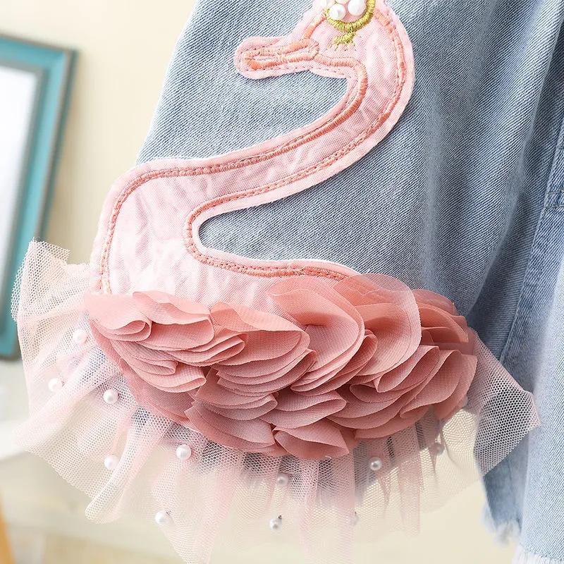 Girls' Denim Shorts In Summer Swan Girls Wear Pants Outside Summer