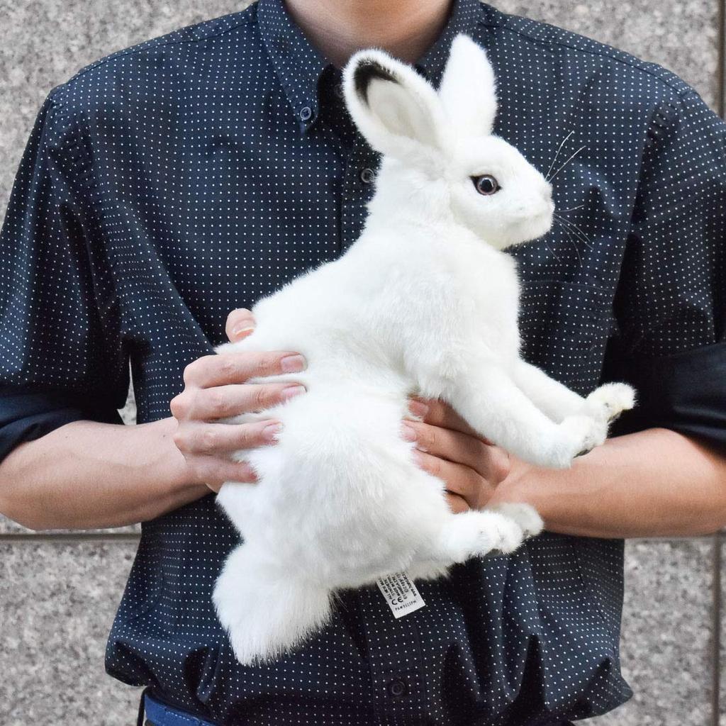 BH7851 HANSA Арктик Кролик 30