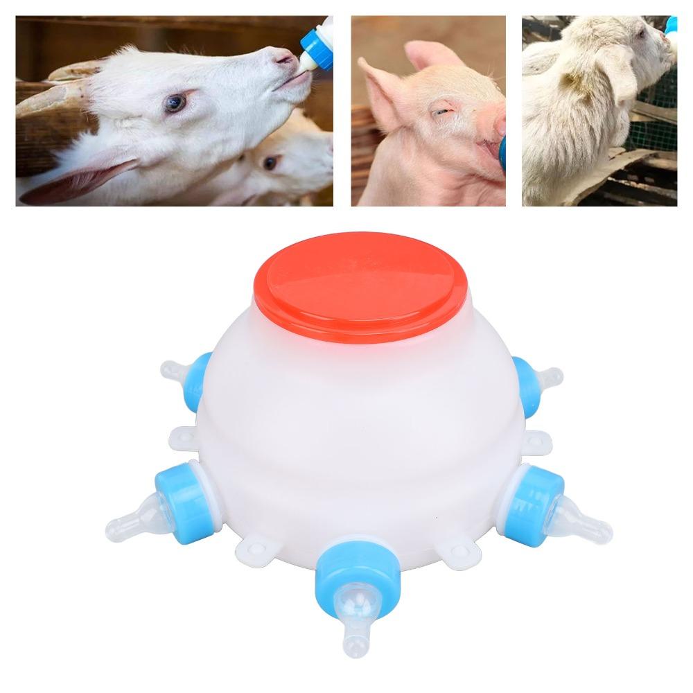 13 Pcs Set 6 Nipples Lamb Milk Bottle Thickened Piglet Feeder Bottle Young Livestock