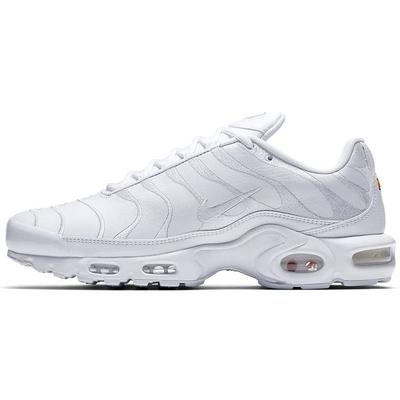 Мужские кроссовки Air Max Plus TN Triple White Белый-Белый AJ2029-100