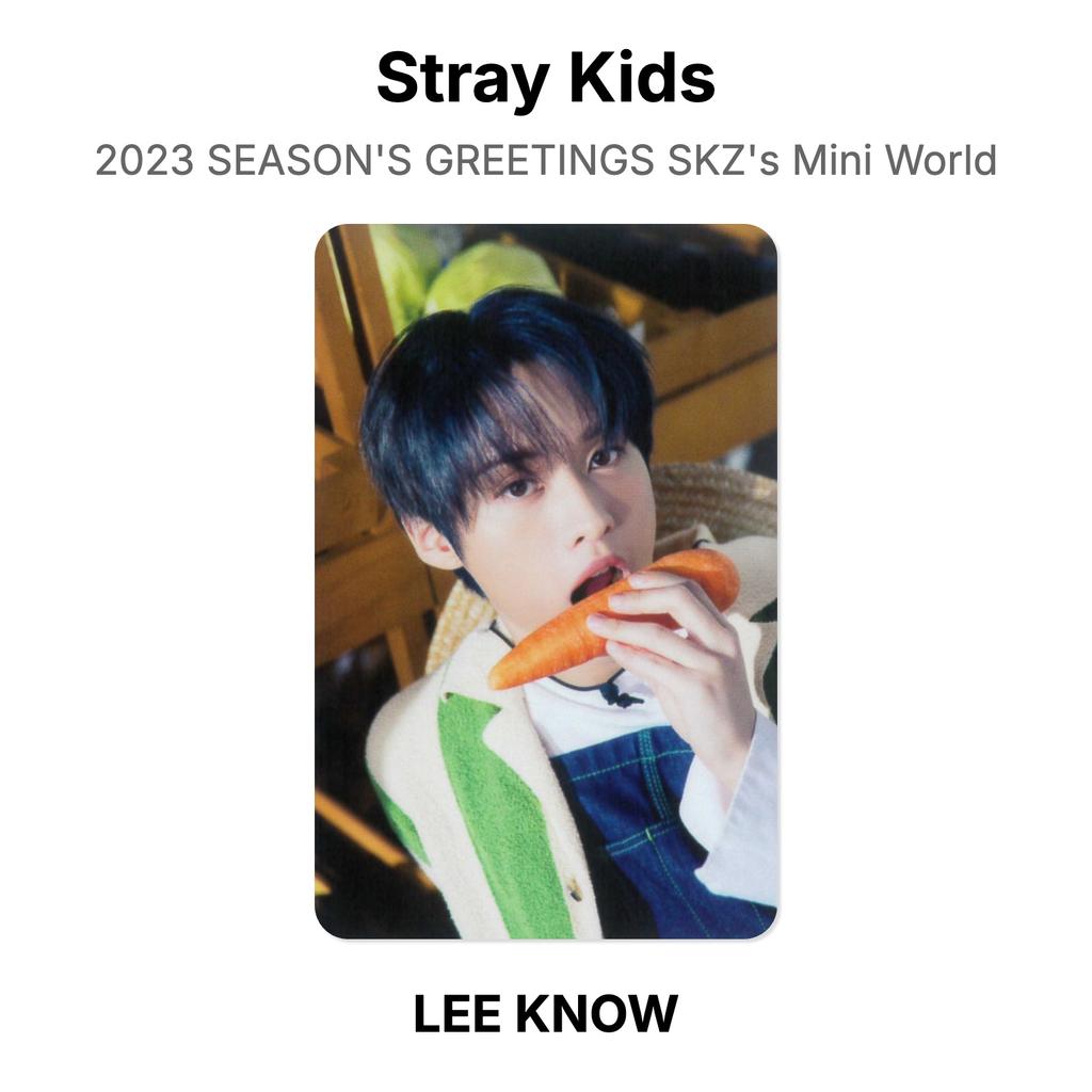 Stray Kids Поздравления с сезоном 2023 года Мини-мир SKZ Официальная фотокарточка