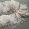 Feather Высококачественная отделка бахромой из страусиных перьев Лента из натуральных страусиных перьев для пошива вечерних платьев Свадебные аксессуары 1 м