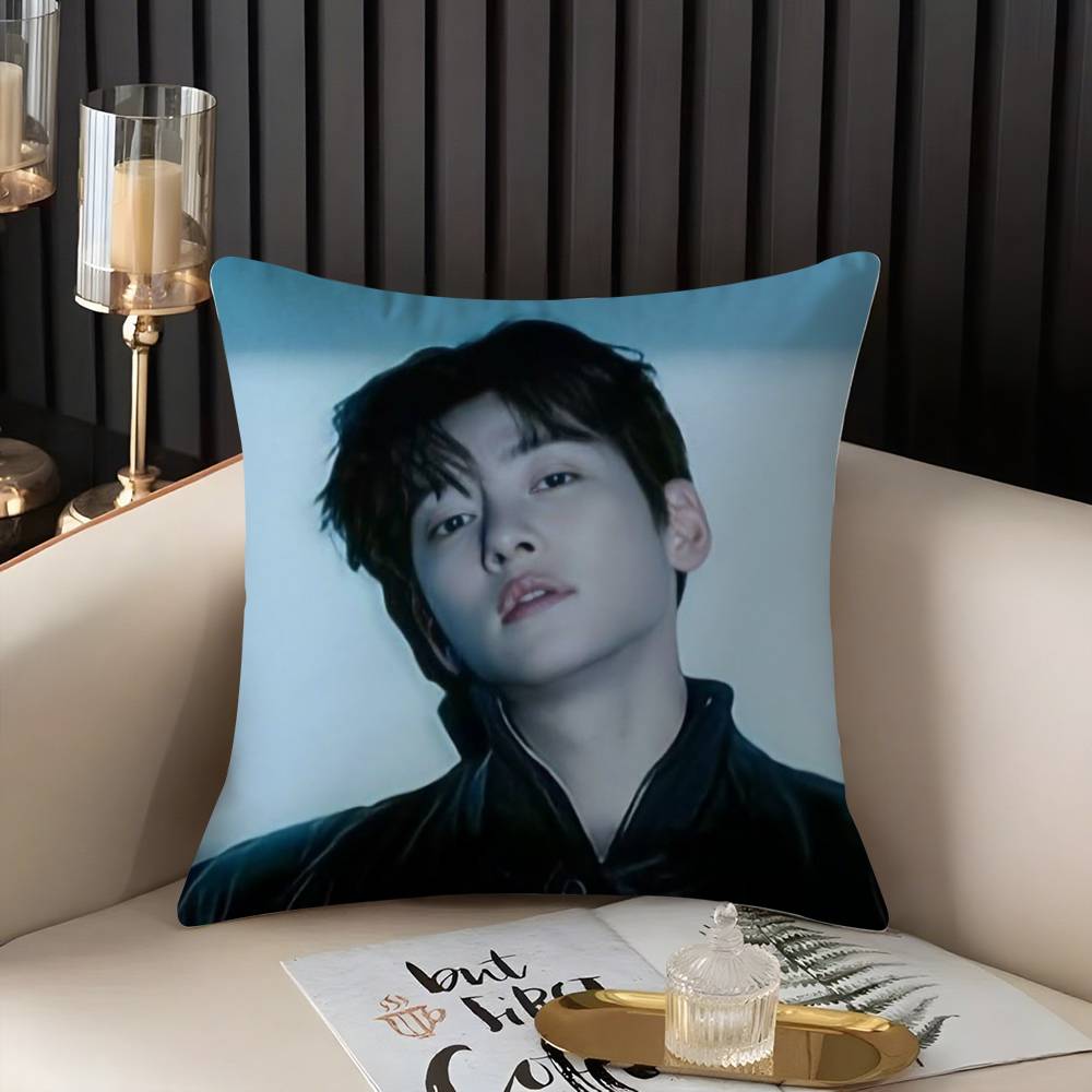 J-Ji C-Chang Wook Наволочка для дома, общежития, спинки стула, короткий плюш, двусторонняя печать, подушка для офиса, время для сна