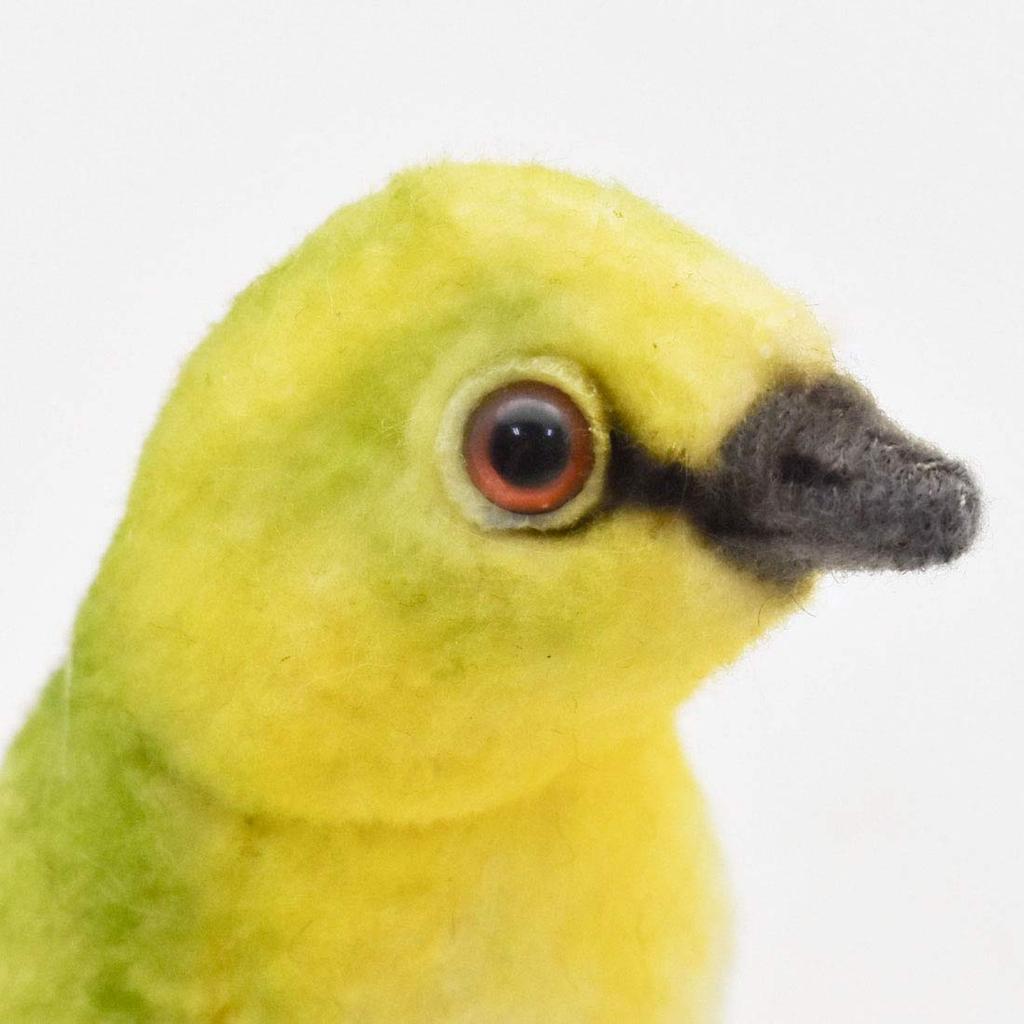 BH7246 HANSA Белоглазый 13