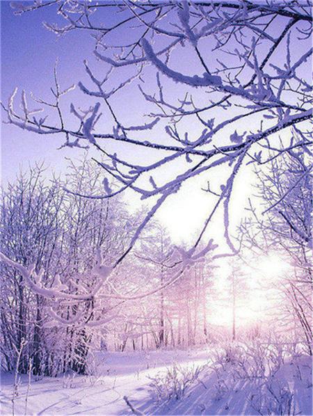 Полный квадратный круглый набор для алмазной живописи Дерево Снег Домашний декор Вышивка Мозаика Зимний пейзаж Настенное искусство