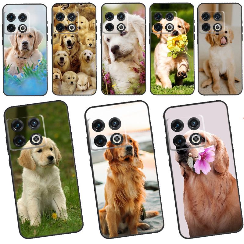Golden Retriever Dog Case For OnePlus 11 10 9 8 Pro 8T 9R 10T 9RT Ace Nord 2 2T CE N10 N100 N20 N200 Back Cover