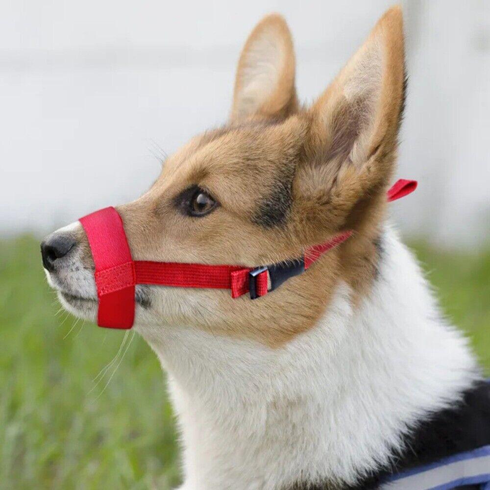 Мягкий нейлоновый намордник для собаки, регулируемый чехол для рта, товары для домашних животных, чехол для рта для собаки, прекращающий лай