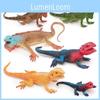 Amphibian Lizard And Reptile Model Pvc Static Figures For Kids Use Educational