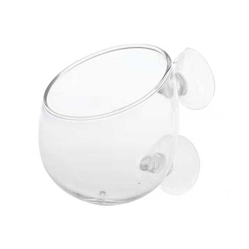 Стеклянные стаканчики для растений с присосками для водных растений, декоративный горшок для аквариума, ландшафтный аквариум