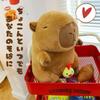 Miaomyao Plush Animal Toy, Capybara Chick, Fluffy and Soothing Item, Birthday Gift for Kids and Adults, 25cm