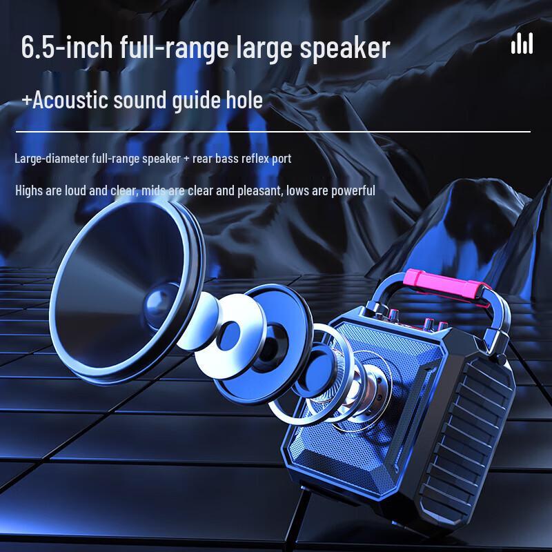 Newman K220 Portable Bluetooth KTV Speaker with Dual Microphones