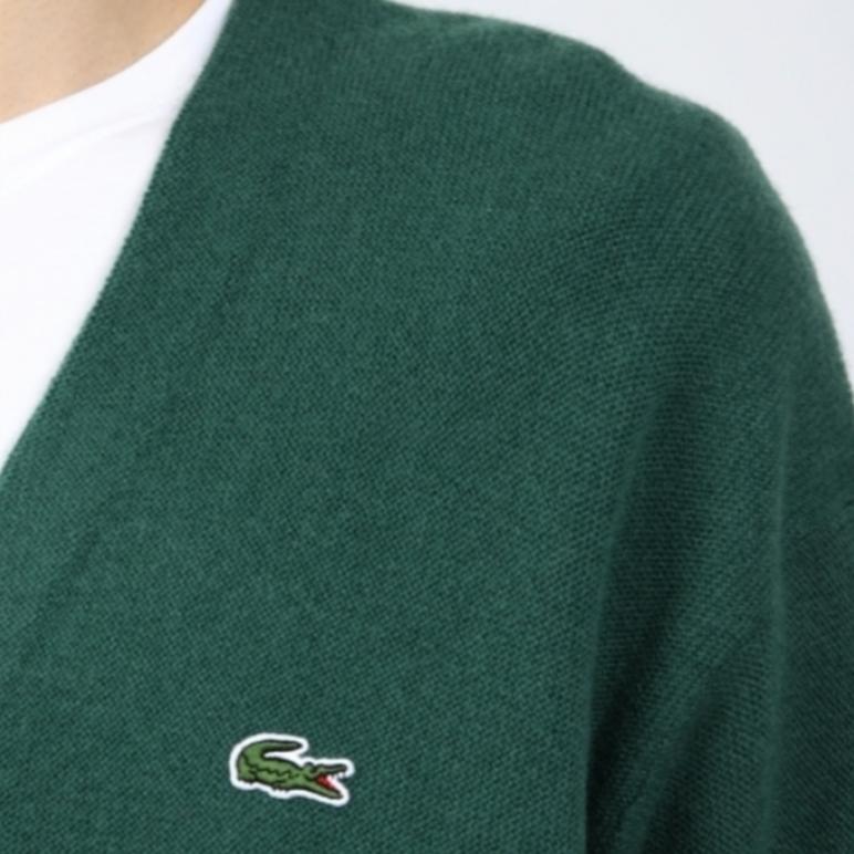 Lacoste Свитеры Мужские Зеленые С V-образным вырезом Умеренный Прямой крой AH0397-132