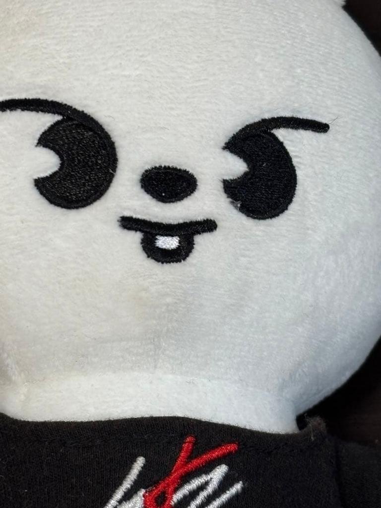 [USED] Straykids Reno Plush Toy Ribbit