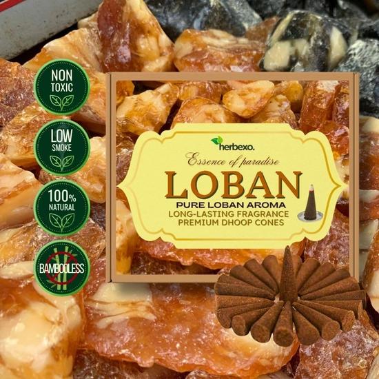 Herbexo Pure Loban Dry Dhoop Cones 20 шт. — Оригинальный Loban Dhoop для пуджи — Премиум Loban Dhoop Batti для духовных ритуалов