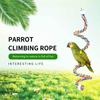 Colorful Parrot Rope Toy 40/80//105/200cm Parrot Stand Chewing Station Bird Perch for Cage  Parrot
