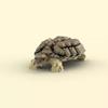 Building Block Tortoise Turtle Reptile Model Assembly Toy Compatible Small Particle Set