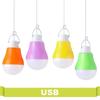 Cold Emergency Reading Outdoor 5W Portable Lamp Light USB Ball Bulb Night LED Random Color