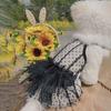 Dog Skirts Lace Pet Dresses Princess Dress Summer Dog Dresses Teddy Dog Vest Dress Cat Dress Chihuahua Pet Clothing