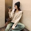 Women's Korean V-neck Sweater - New 2023 Loose Knit Top for Autumn and Winter