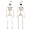 Skeleton Halloween Decorations Life Body Anatomy Model Lifelike Skeleton Model for Haunted Houses Cemeteries