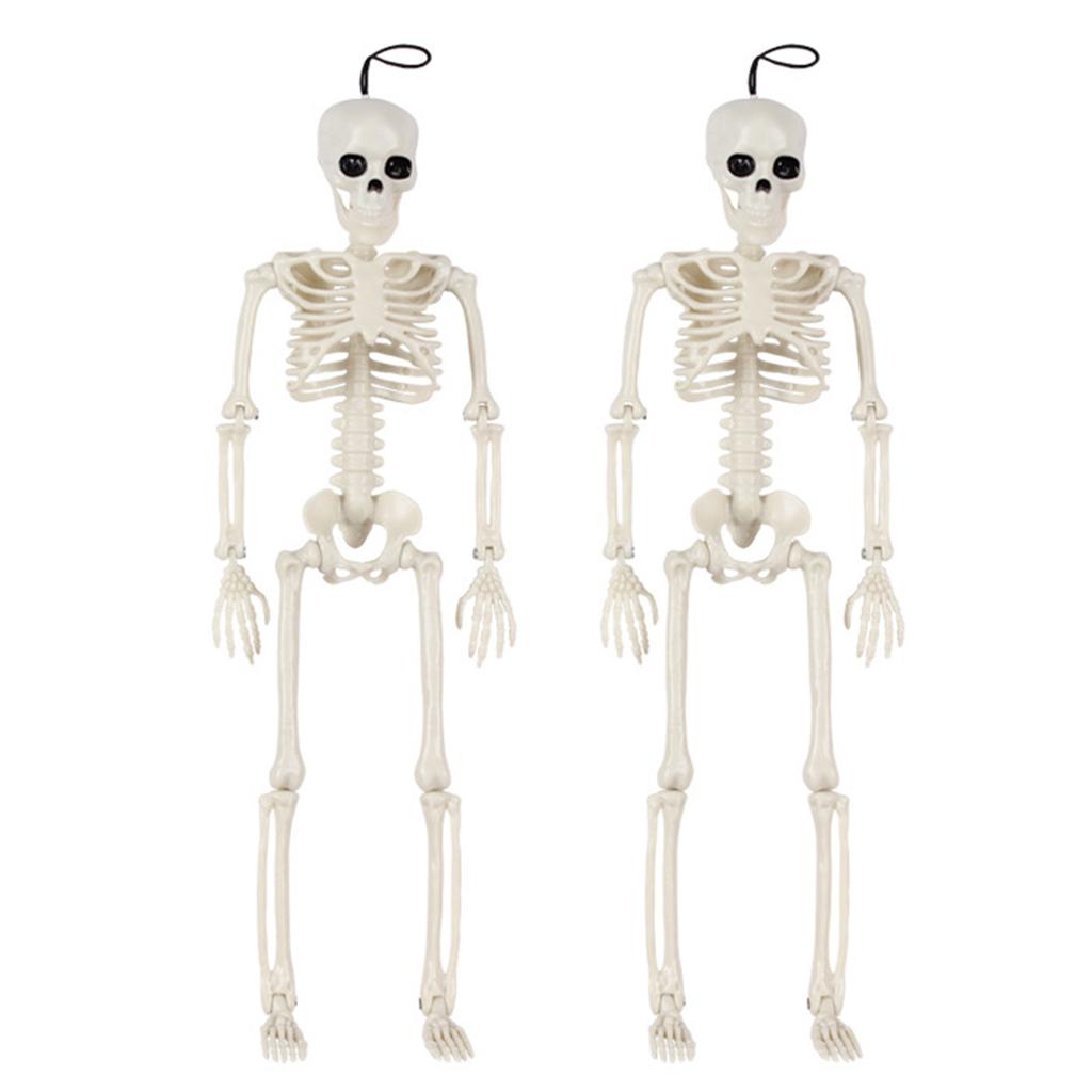 Skeleton Halloween Decorations Life Body Anatomy Model Lifelike Skeleton Model for Haunted Houses Cemeteries