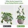 2pcs Garden U-shaped Acrylic Plant Climbing Frame Transparent And Durable Suitable For Indoor Vine And Flower Pot Support
