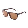 Daiwa Polarized Glasses Brown DN-8023