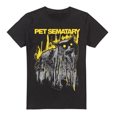 Футболка мужская Pet Sematary Decay