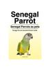 Книга Senegal Parrot. Senegal Parrots As Pets. Senegal Parrots Essential Owners Guide.