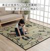 IKEHIKO Igusa Rug/Carpet, 3-Tatami Size, Rectangular, DX Kuroneko, Approx. 176 x 230cm, Backed with Cypress, #8165410