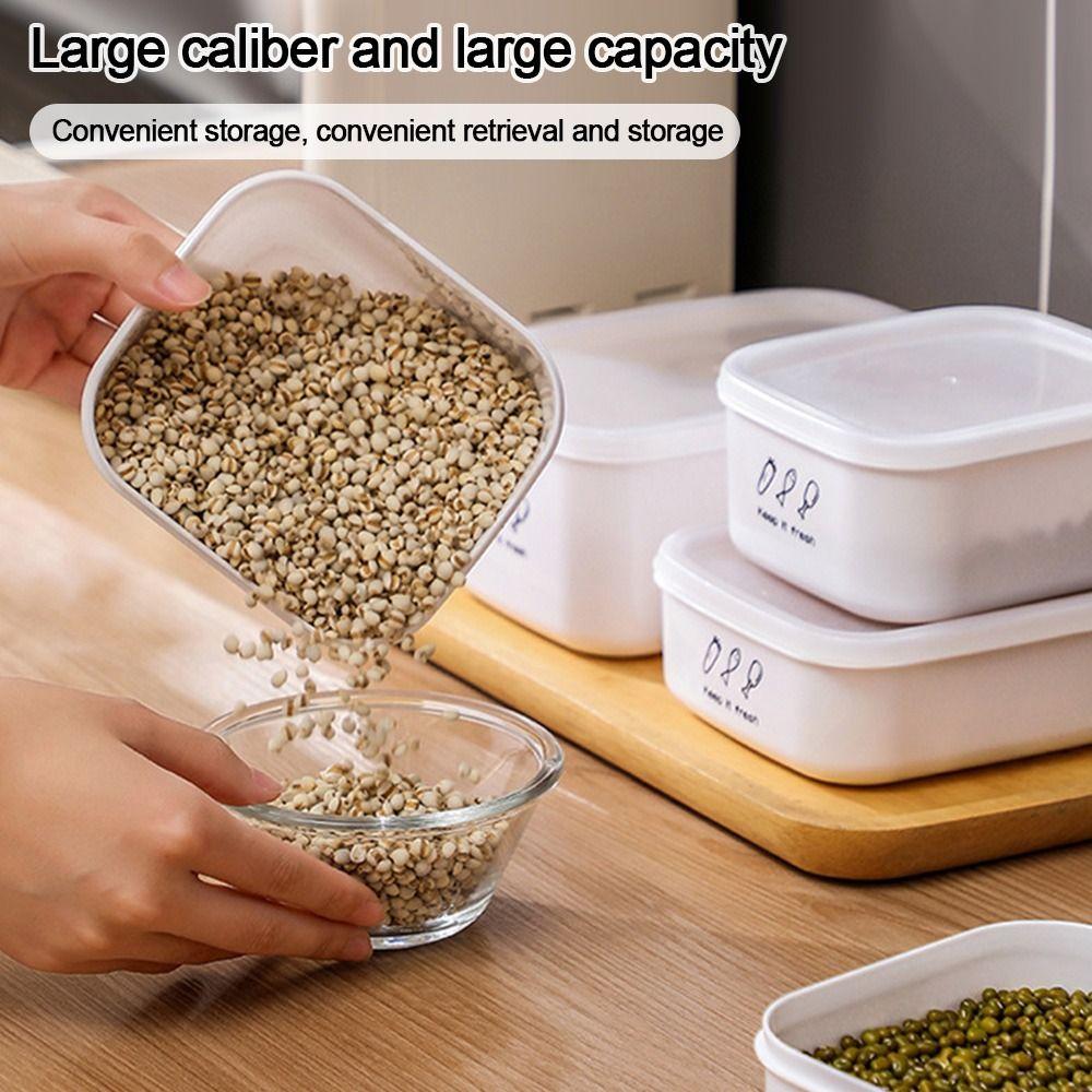 Moisture-proof Food Storage Box Fresh-keeping Fridge Organizer Useful Vegetables Food Container