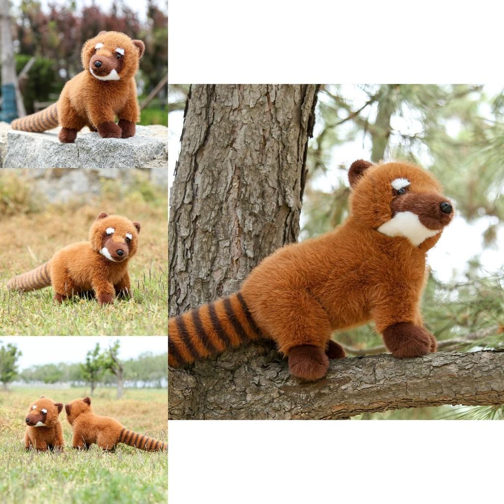 Плюшевая игрушка коати из мягкой коротковорсовой ткани для детей и для подарка