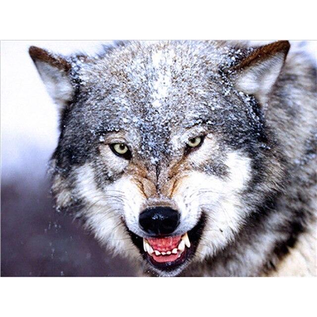 Волк DIY 5D алмазов картина вышивки крестом комплект полный круглый смолы животных Алмазная вышивка волки мозаика горный хрусталь домашний декор