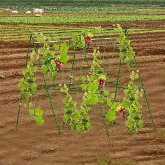 Металлическая садовая решетка для вьющихся растений А-образная решетка для винограда с нескользящей текстурой Уличная опора для растений для винограда Цветы Овощи