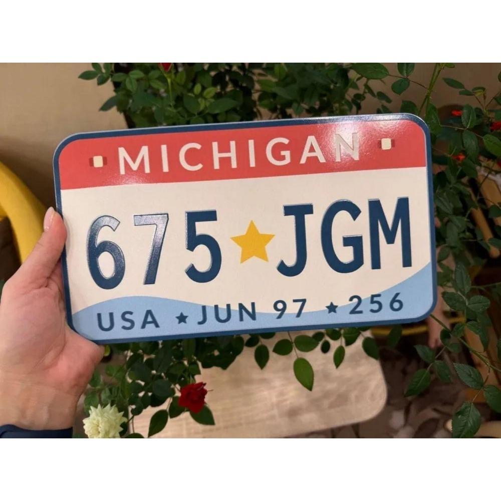 U.S. License Plate, U.S. Car License Plate, Metal, 15x30 Cm.