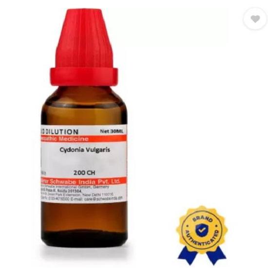 Dr Willmar Schwabe India Cydonia Vulgaris Dilution 30 ML Бесплатная доставка