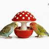 Resin Bird Feeder Bowl Anti Tip Parrot Food Container Practical Feeding Station  Balcony