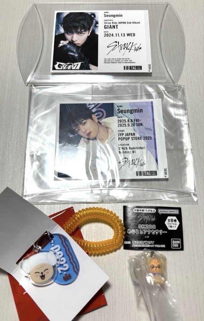 [USED] Stray Kids Seungmin