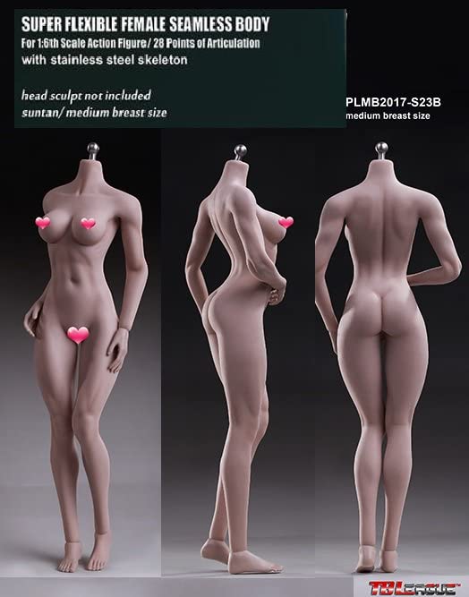 Масштабная фигурка Загар пшеничный TBLeague бодибилдер ультра женская Загар размер бюста M и одежда не [TOYBARJAPAN] 1/6 тело, кожа, PLMB2017-S23B,