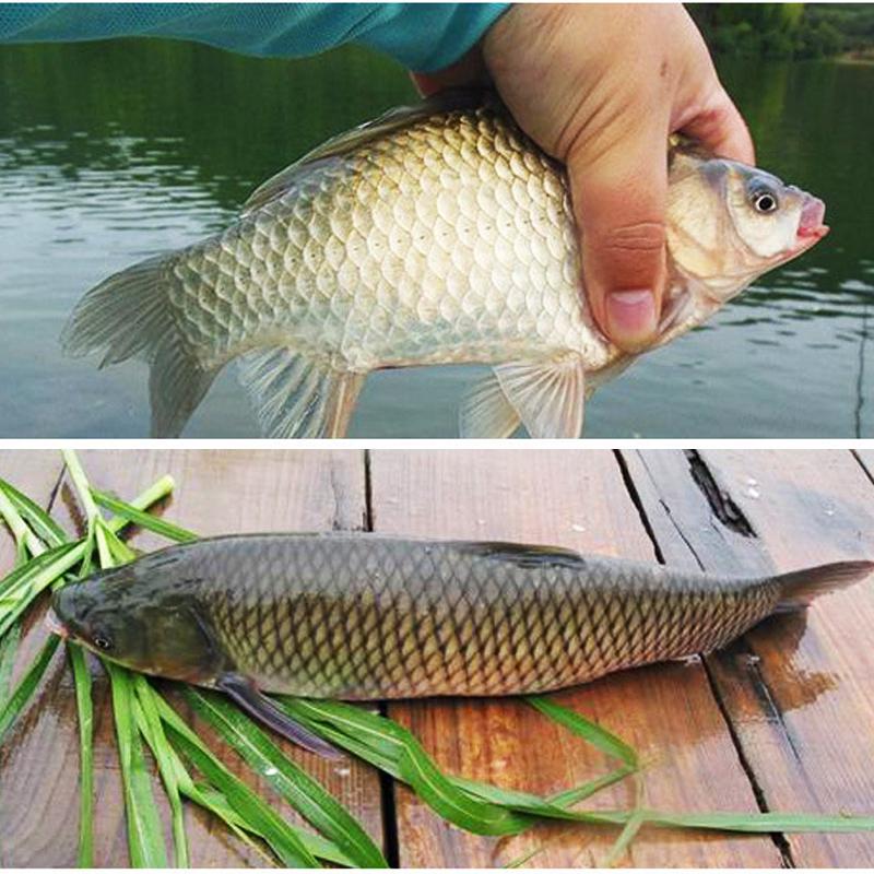 5 м леска для ловли карпа, леска с камуфляжной оплеткой, реалистичная леска для ловли карпа, поводок для ловли карпа, леска для рыболовных снастей