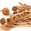 Chuanzhen Mountain Mushroom & Fungus Gift Box