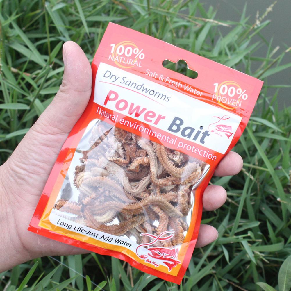 Lifelike Dry Lugworm Sandworms Fishing Lures Saltwater Freshwater Feeder Sea Fishing Worms Smell Soft Artificial Bait Lures