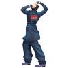 Banpresto Josuke Higashikata from Bizarre Diamond is Unbreakable Action Figure Mometria 23cm PZ29885P Multicolor Collector Figure Perfect for Anime