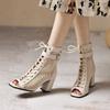 Lace-up Cold Boots Women's Summer Hollow Short Ankle Boots Stiletto Heels Plus Size Fish Mouth Sandals P773